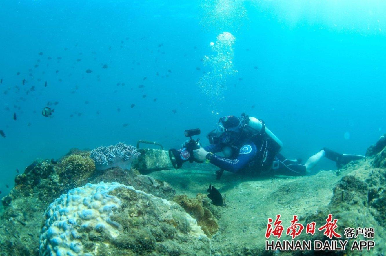 刺客信条：大革命